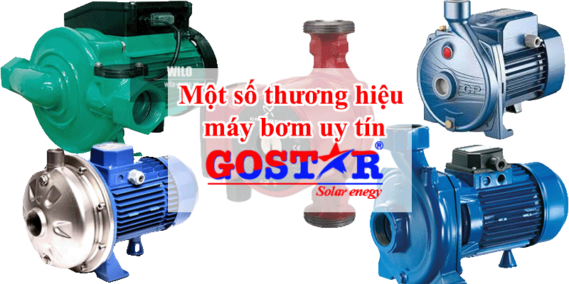 Một số thương hiệu máy bơm uy tín